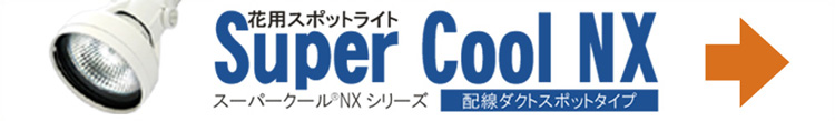 ���ѥ��ݥåȥ饤�� Super Cool NX